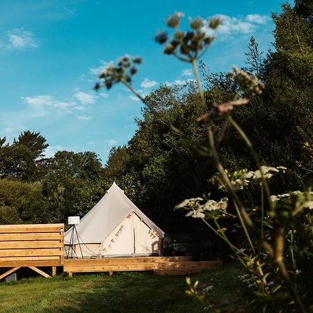 Willow Valley Glamping Bude Εξωτερικό φωτογραφία