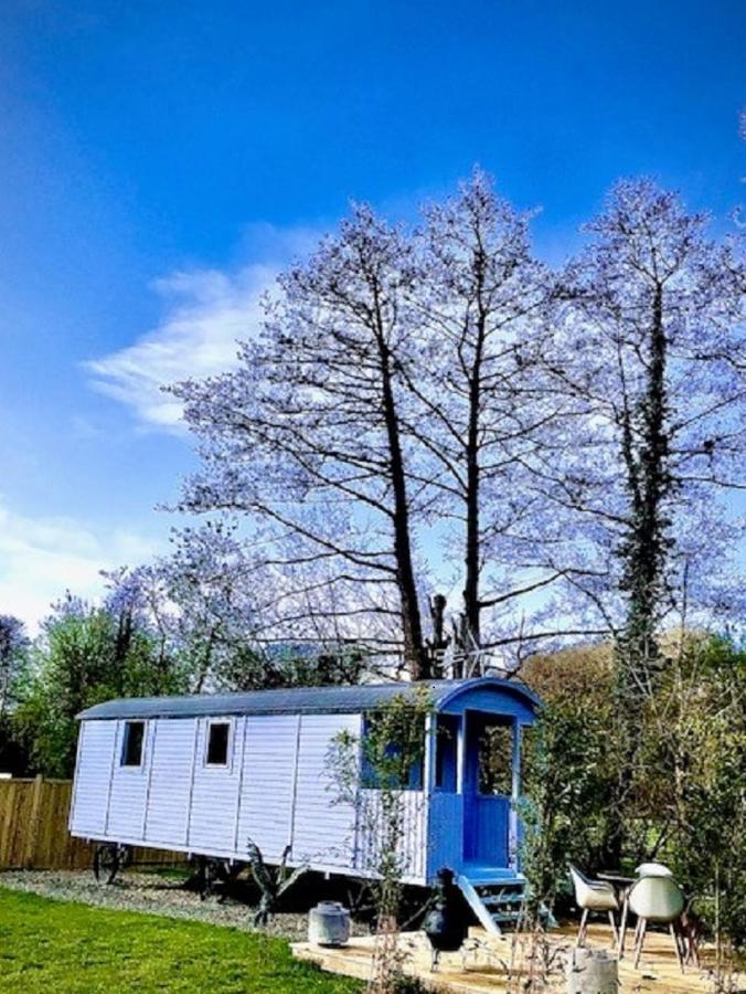Willow Valley Glamping Bude Εξωτερικό φωτογραφία